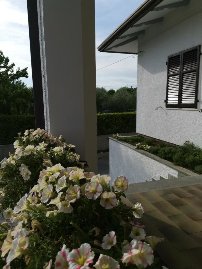 Villa Flora Affittacamere Luni Eksteriør bilde